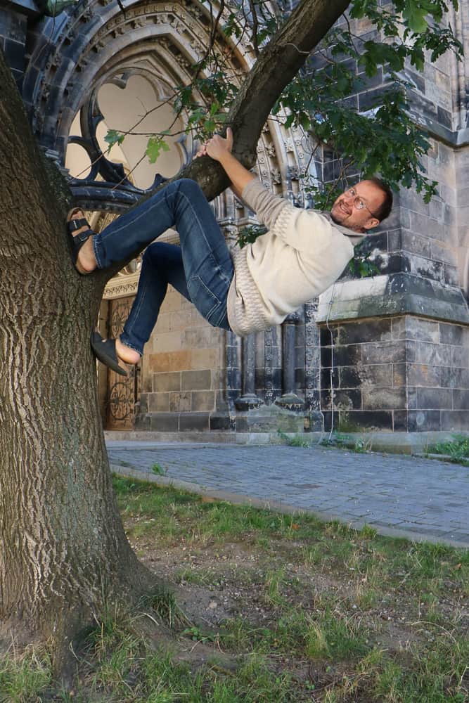 Pullover mit Zipperkragen Werner klettert Baum hoch